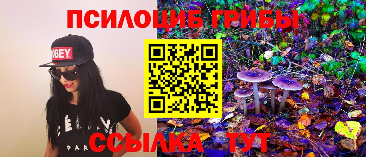 Псилоцибиновые грибы GOLDEN TEACHER Майский
